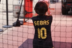 0032-Toyota_Houston-d1